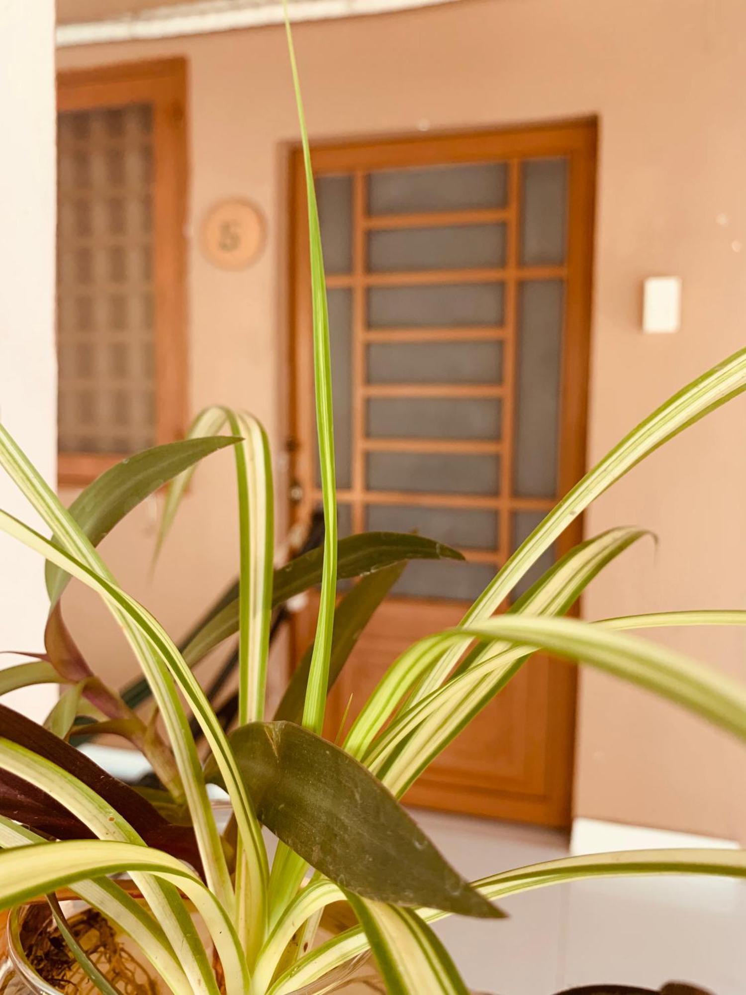 Phuc Sinh Homestay Bến Tre Phòng bức ảnh